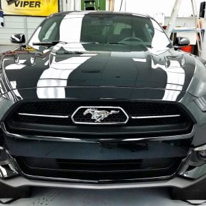 Ford Mustang GT Clear Bra Mesa